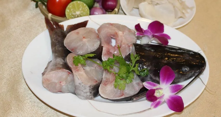 Cách Chọn Cá Lăng Tươi Ngon