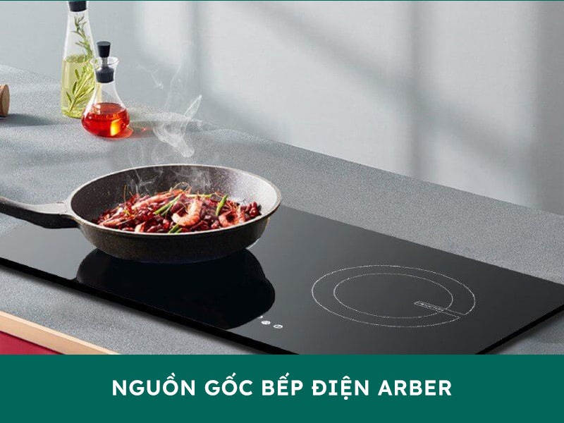 Nguồn gốc và xuất xứ của bếp điện Arber