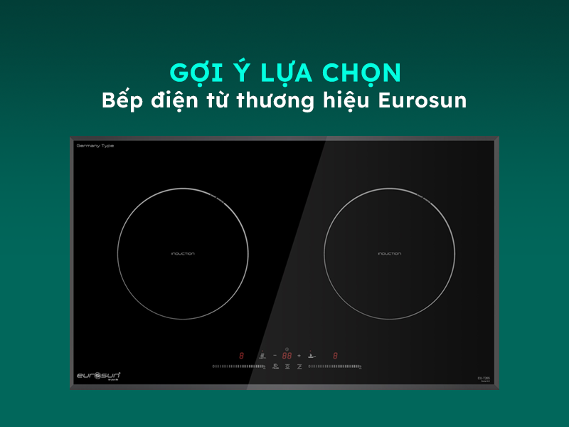 Hướng dẫn sử dụng và lựa chọn bếp điện từ Eurosun