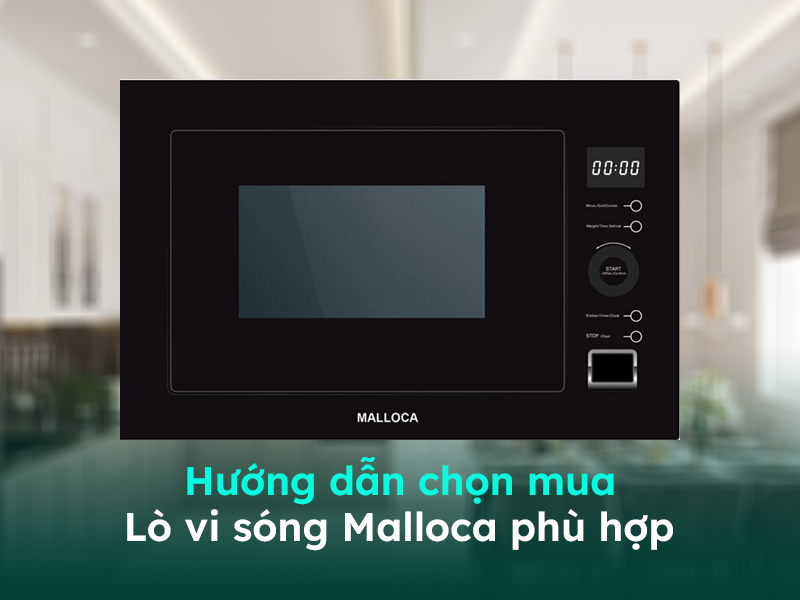 Hướng dẫn cách lựa chọn lò vi sóng cao cấp phù hợp