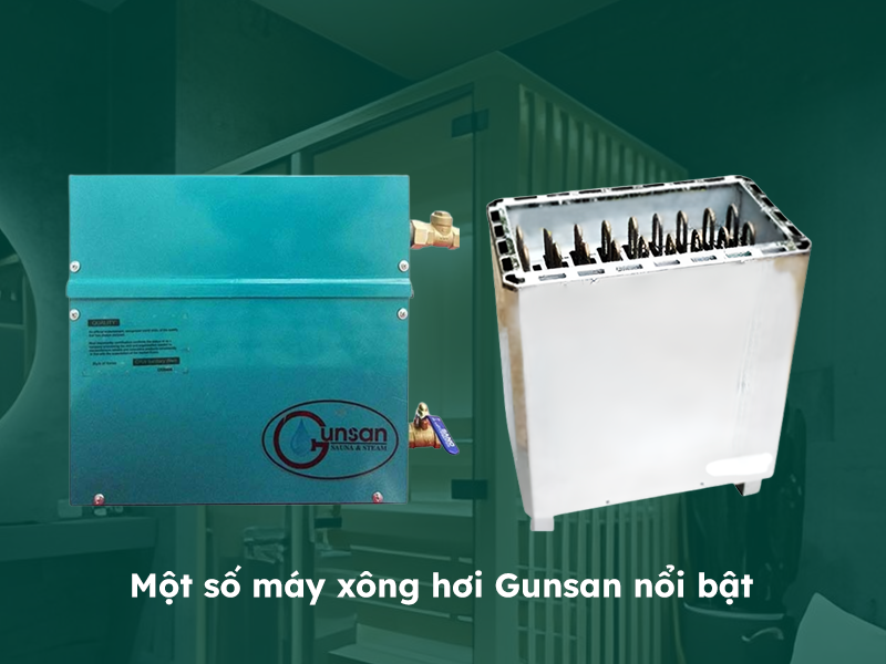 Một số máy xông hơi thương hiệu Gunsan nổi bật