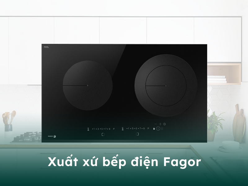 Xuất xứ của bếp điện thương hiệu Fagor