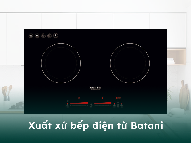 Xuất xứ của bếp điện từ thương hiệu Batani