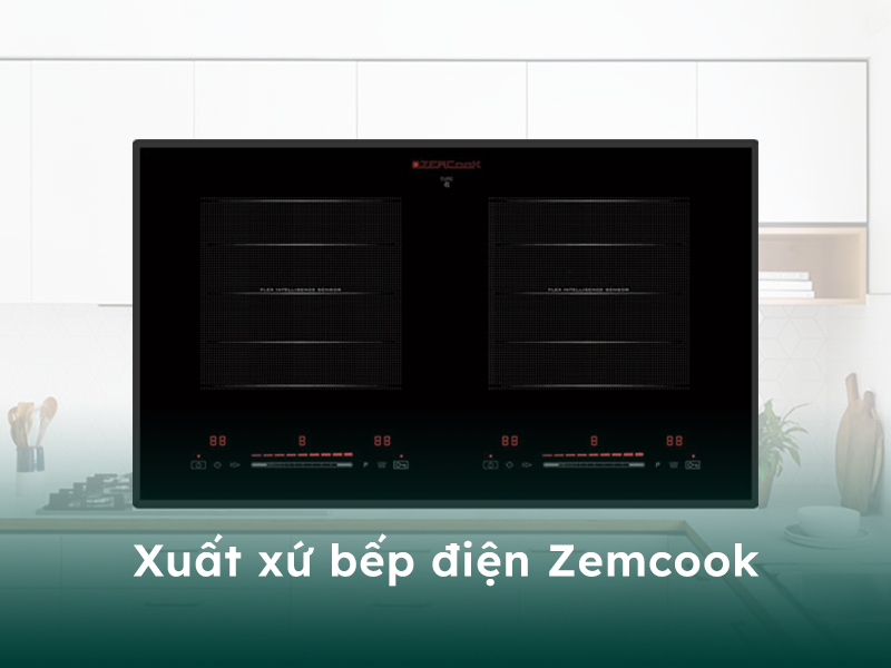 Xuất xứ của bếp điện thương hiệu Zemcook