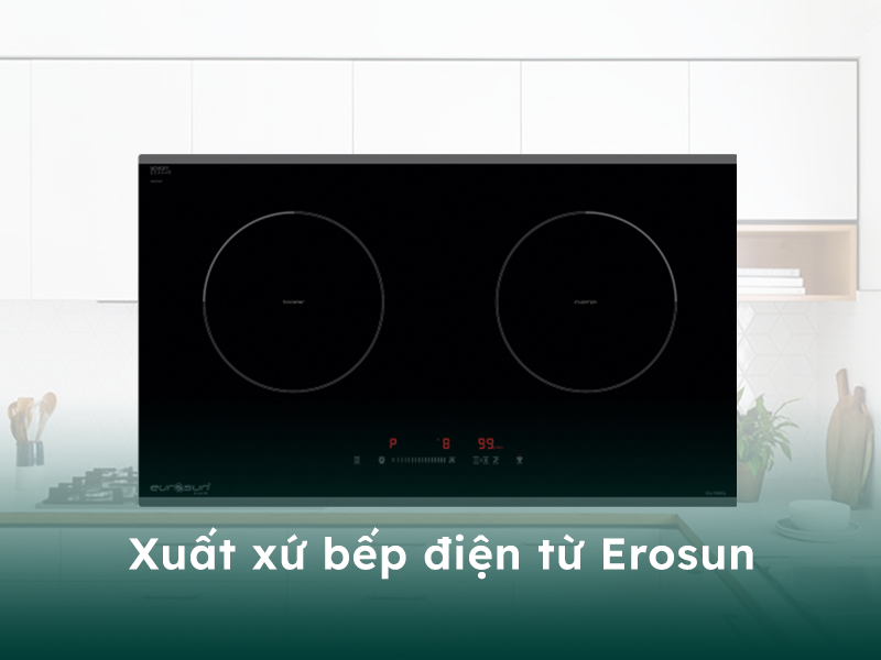 Xuất xứ của bếp điện từ thương hiệu Eurosun