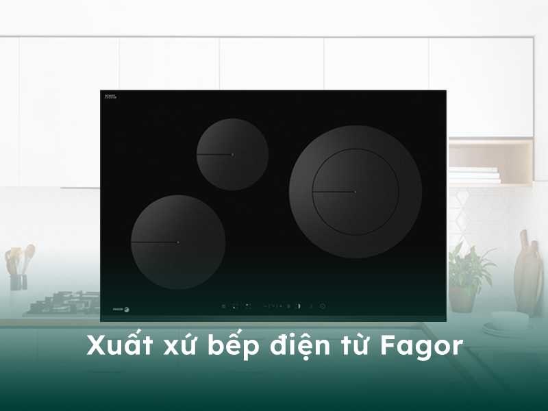 Xuất xứ của bếp điện từ thương hiệu Fagor