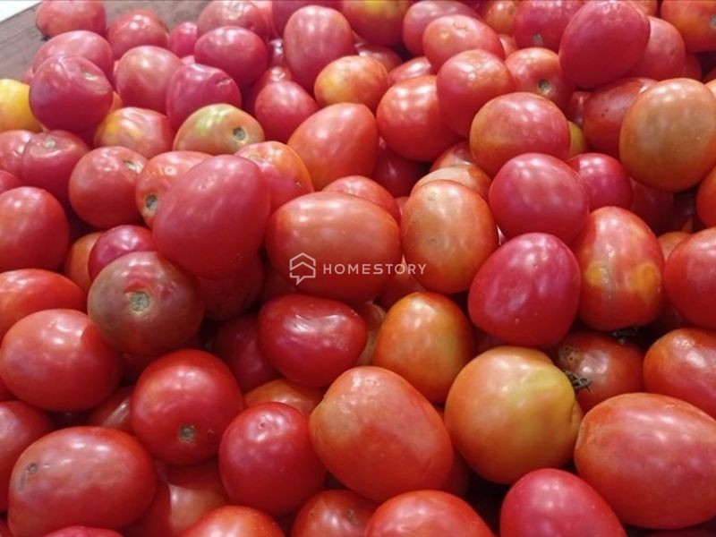 Mẹo Chọn Cà Chua Ngon