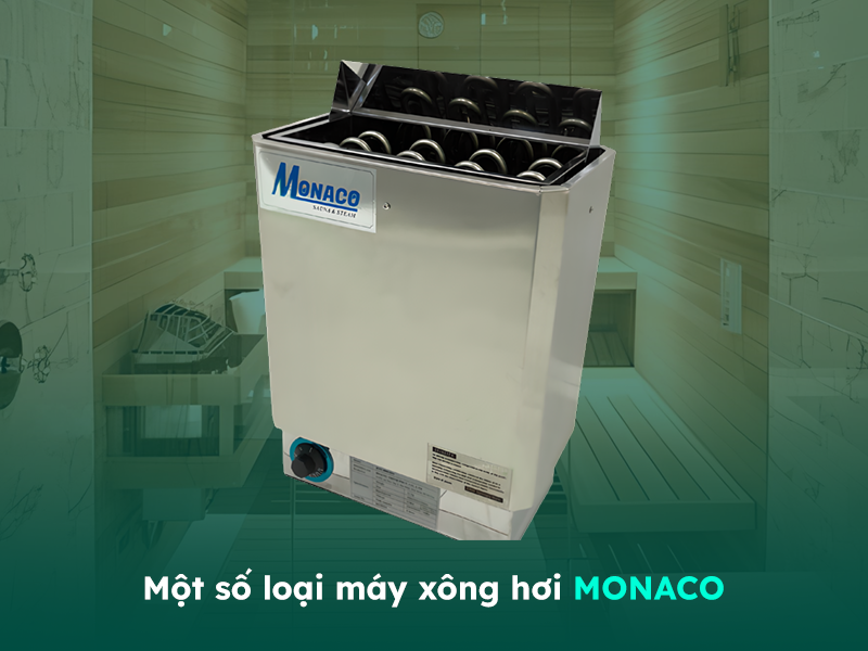 Một số loại máy xông hơi khô Monaco phổ biến