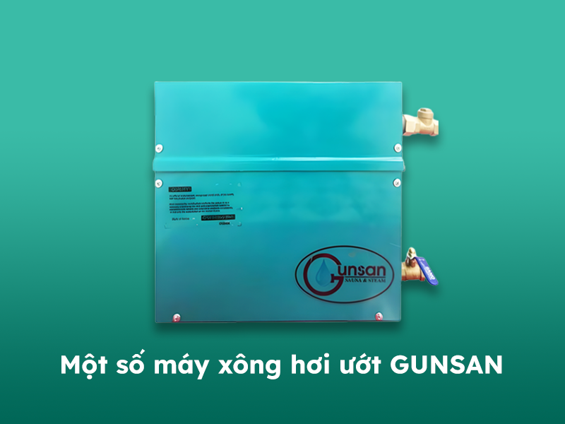 Một số loại máy xông hơi ướt Gunsan phổ biến