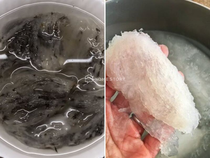 Sơ Chế Nguyên Liệu