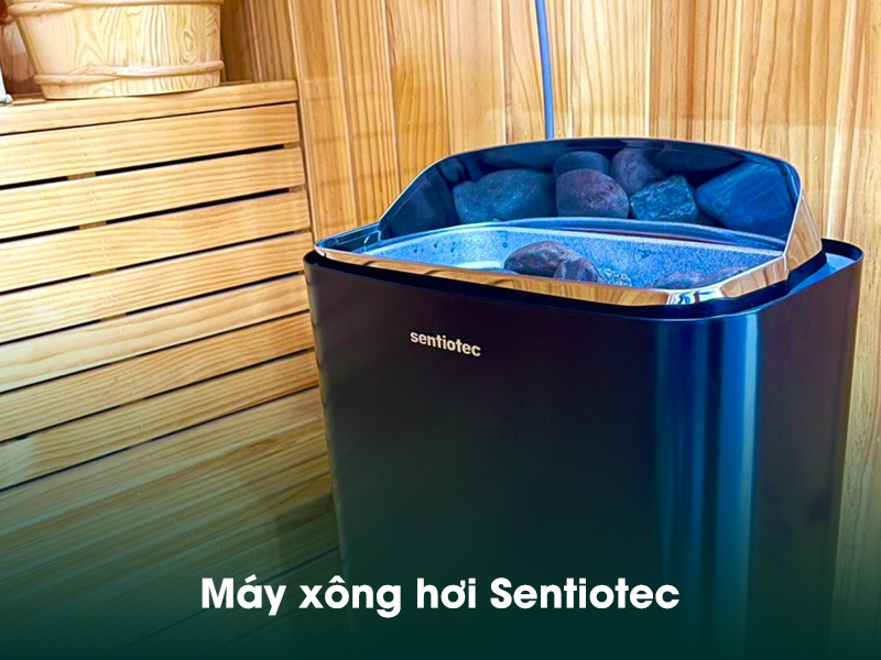 Tìm hiểu về máy xông hơi nhập khẩu Sentiotec