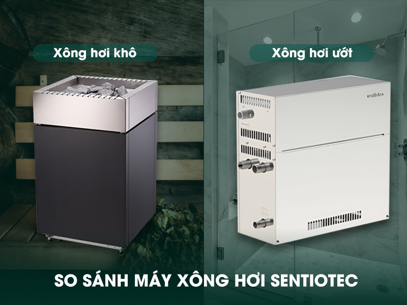 Máy xông hơi ướt và máy xông hơi khô Sentiotec