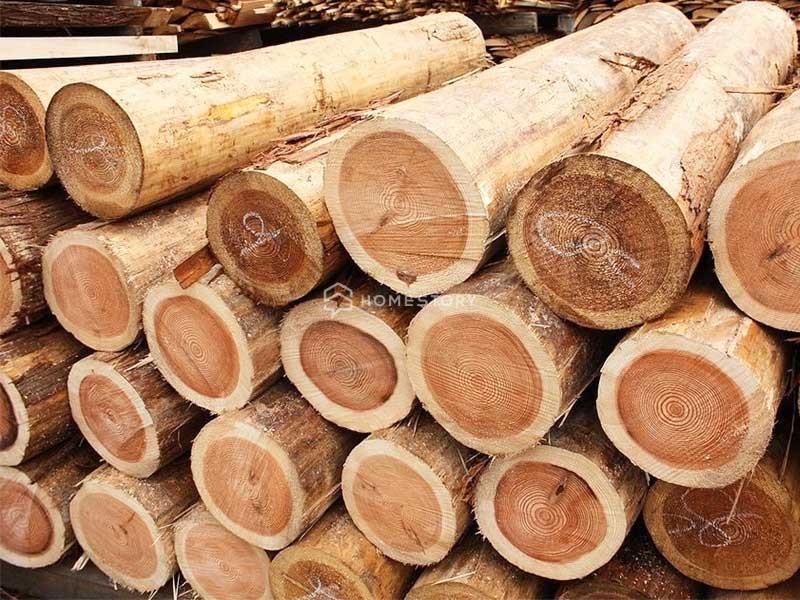 Gỗ Thông Hinoki Có Tốt Không? Các Mẫu Phòng Xông Hơi Gỗ Hinoki Đẹp 3 Gỗ Thông Nhật Hinoki Có Tốt Không?