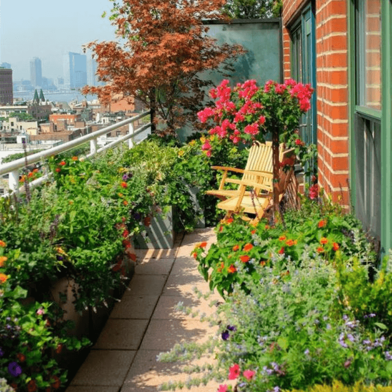 vườn hoa trên ban công chung cư