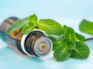 Tinh-Dau-Bac-Ha 1 - Tinh Dau Bac Ha