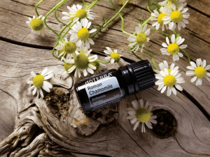 Tinh-Dau-Cuc-La-Ma 1 - Tinh Dau Cuc La Ma