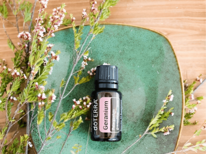 Tinh-Dau-Hoa-Phong-Lu 1 - Tinh Dau Hoa Phong Lu