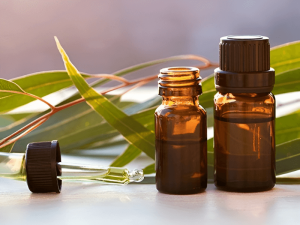 Tinh-Dau-Khuynh-Diep 1 - Tinh Dau Khuynh Diep 1