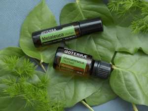 Tinh-Dau-Tram-Tra 1 - Tinh Dau Tram Tra