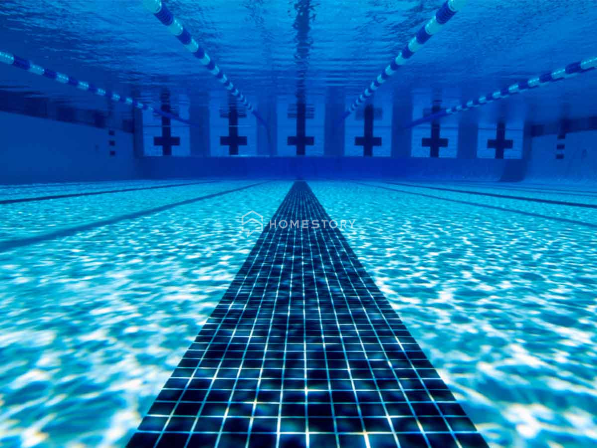 Tiêu Chuẩn Thiết Kế Bể Bơi Cho Từng Loại Có Thể Bạn Chưa Biết! 4 Những Lý Do Cần Tuân Thủ Những Tiêu Chuẩn Thiết Kế Hồ Bơi?