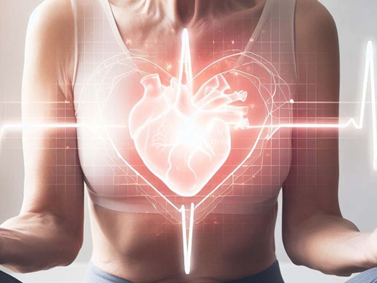 Xông Hơi Jjim Jil Bang Giúp Cải Thiện Lưu Thông Máu, Hỗ Trợ Tim Mạch