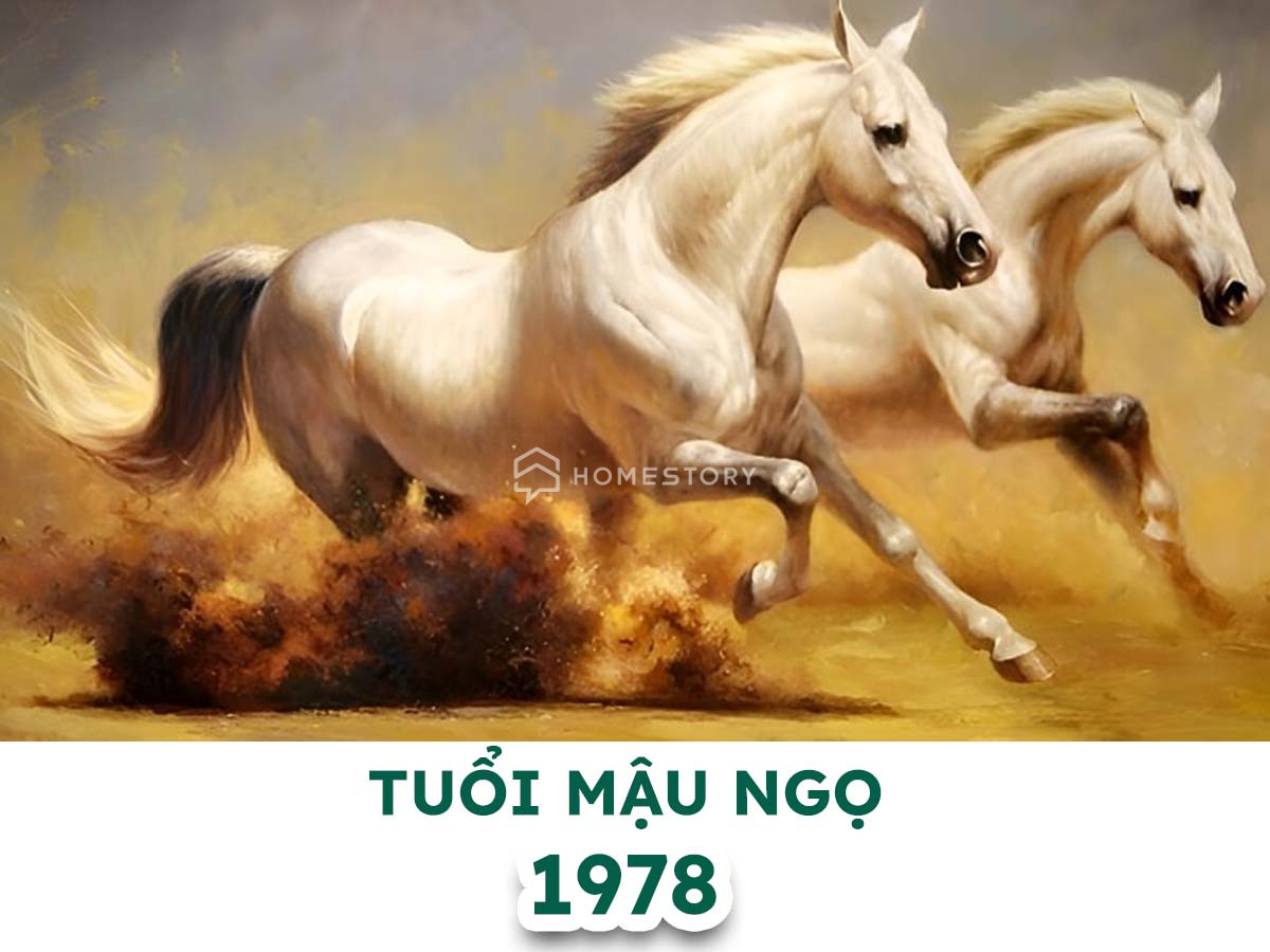 Hướng Nhà Vệ Sinh Cho Tuổi Mậu Ngọ 1978, Cần Đặt Sao Cho Tốt? 4 Tìm Hiểu Về Tuổi 1978 Và Hướng Nhà Vệ Sinh Tuổi Mậu Ngọ