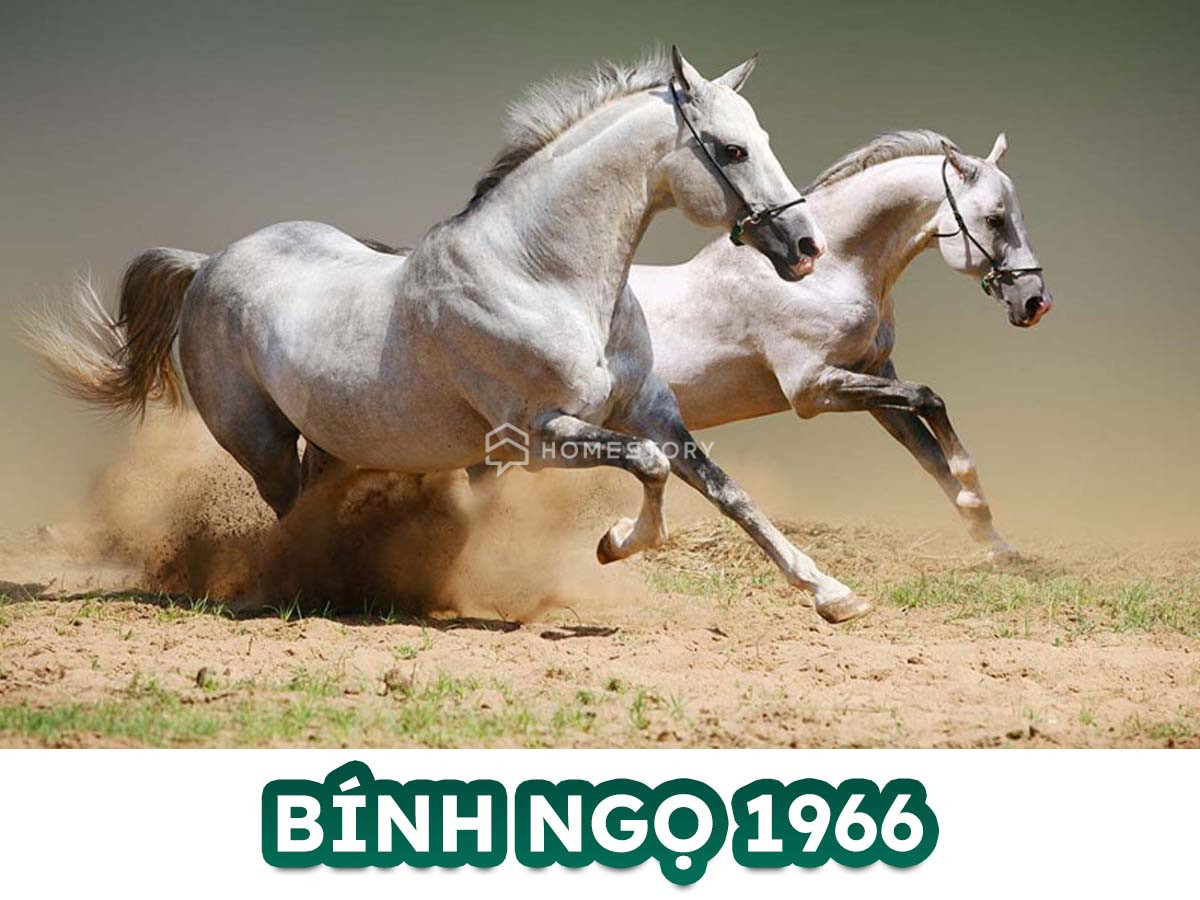 Hướng Nhà Vệ Sinh Cho Tuổi Bính Ngọ 1966 Đón Lộc, Tránh Vận Xui 16 Tìm Hiểu Về Tuổi Bính Ngọ 1966 Và Hướng Nhà Vệ Sinh Hợp Tuổi Bính Ngọ