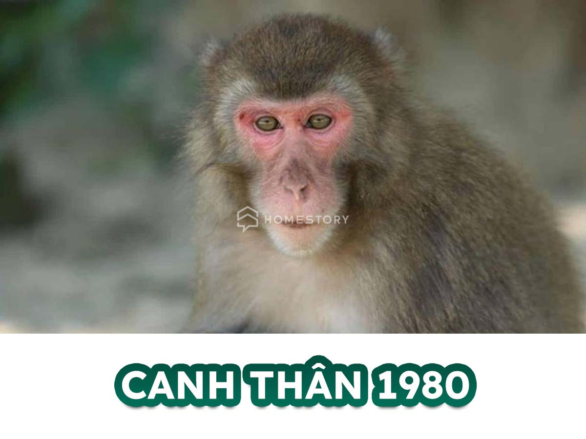 Hướng Nhà Vệ Sinh Cho Tuổi Canh Thân 1980 Đặt Đâu Hợp Phong Thủy? 16 Tìm Hiểu Về Tuổi Canh Thân 1980 Và Hướng Nhà Vệ Sinh Hợp Tuổi Canh Thân