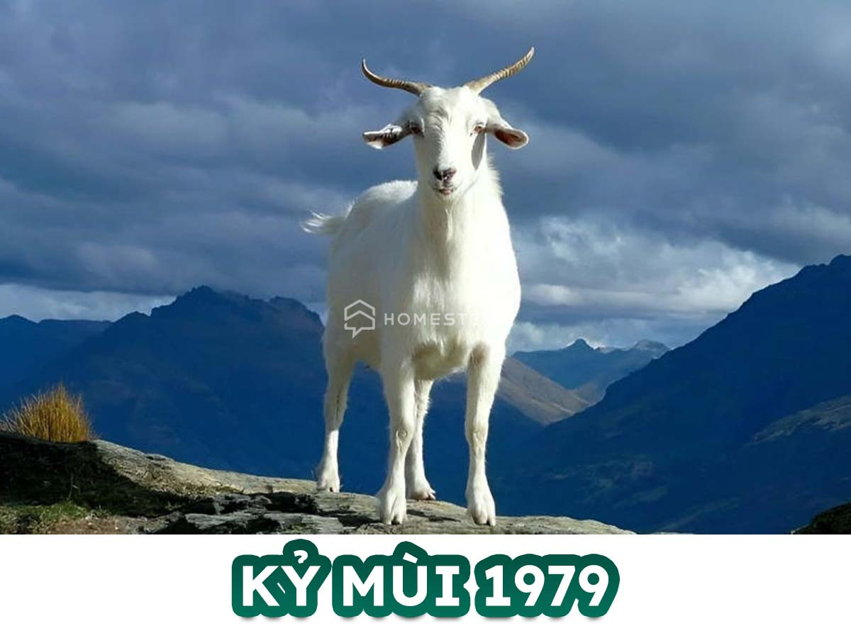 Hướng Nhà Vệ Sinh Cho Tuổi Kỷ Mùi 1979 Tốt, Tài Lộc Đầy Nhà 16 Tìm Hiểu Về Tuổi Kỷ Mùi 1979 Và Hướng Nhà Vệ Sinh Hợp Tuổi Kỷ Mùi