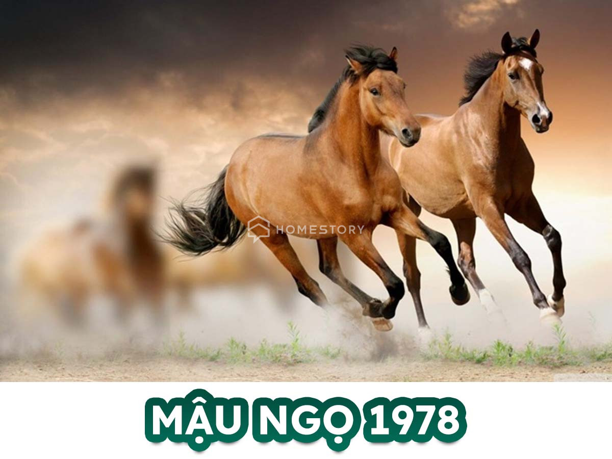 Hướng Nhà Vệ Sinh Hợptuổi Mậu Ngọ 1978, Chọn Chuẩn Phong Thủy 16 Tìm Hiểu Về Tuổi Mậu Ngọ 1978 Và Hướng Nhà Vệ Sinh Hợp Tuổi Mậu Ngọ