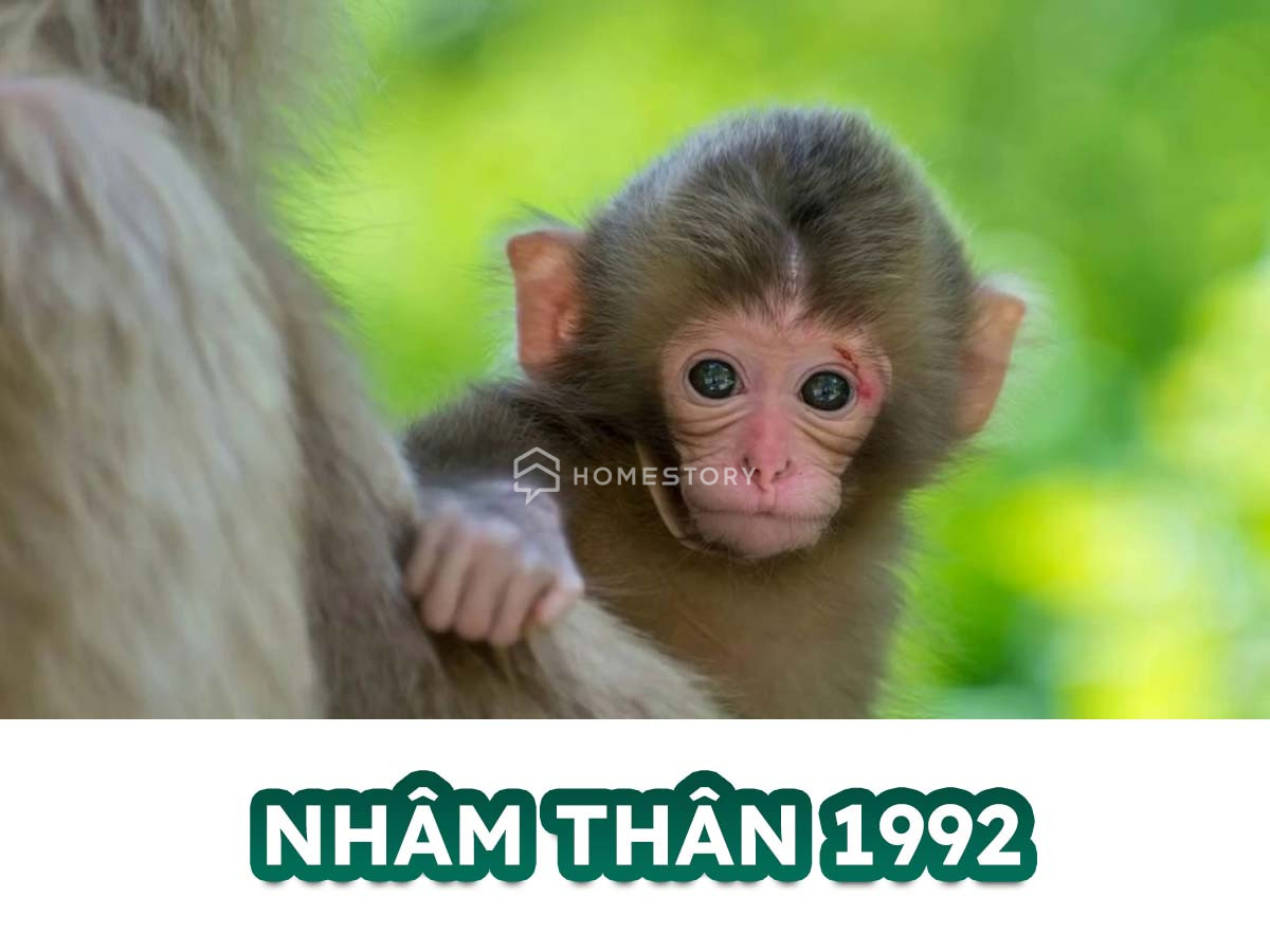 Hướng Nhà Vệ Sinh Cho Tuổi Nhâm Thân 1992 Để Thu Hút Tài Lộc 16 Tìm Hiểu Về Tuổi Nhâm Thân 1992 Và Hướng Nhà Vệ Sinh Hợp Tuổi Nhâm Thân