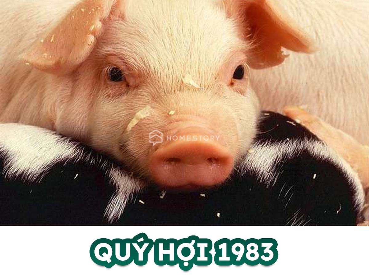 Tìm Hiểu Về Tuổi Quý Hợi 1983 Và Hướng Nhà Vệ Sinh Hợp Tuổi Quý Hợi