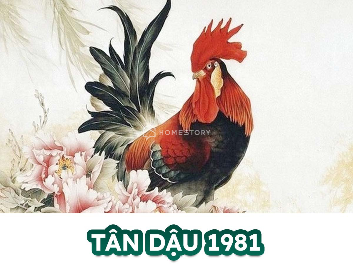 Hướng Nhà Vệ Sinh Cho Tuổi Tân Dậu 1981, Đặt Sao Để Tài Lộc Vào Nhà 16 Tìm Hiểu Về Tuổi Tân Dậu 1981 Và Hướng Nhà Vệ Sinh Hợp Tuổi Tân Dậu
