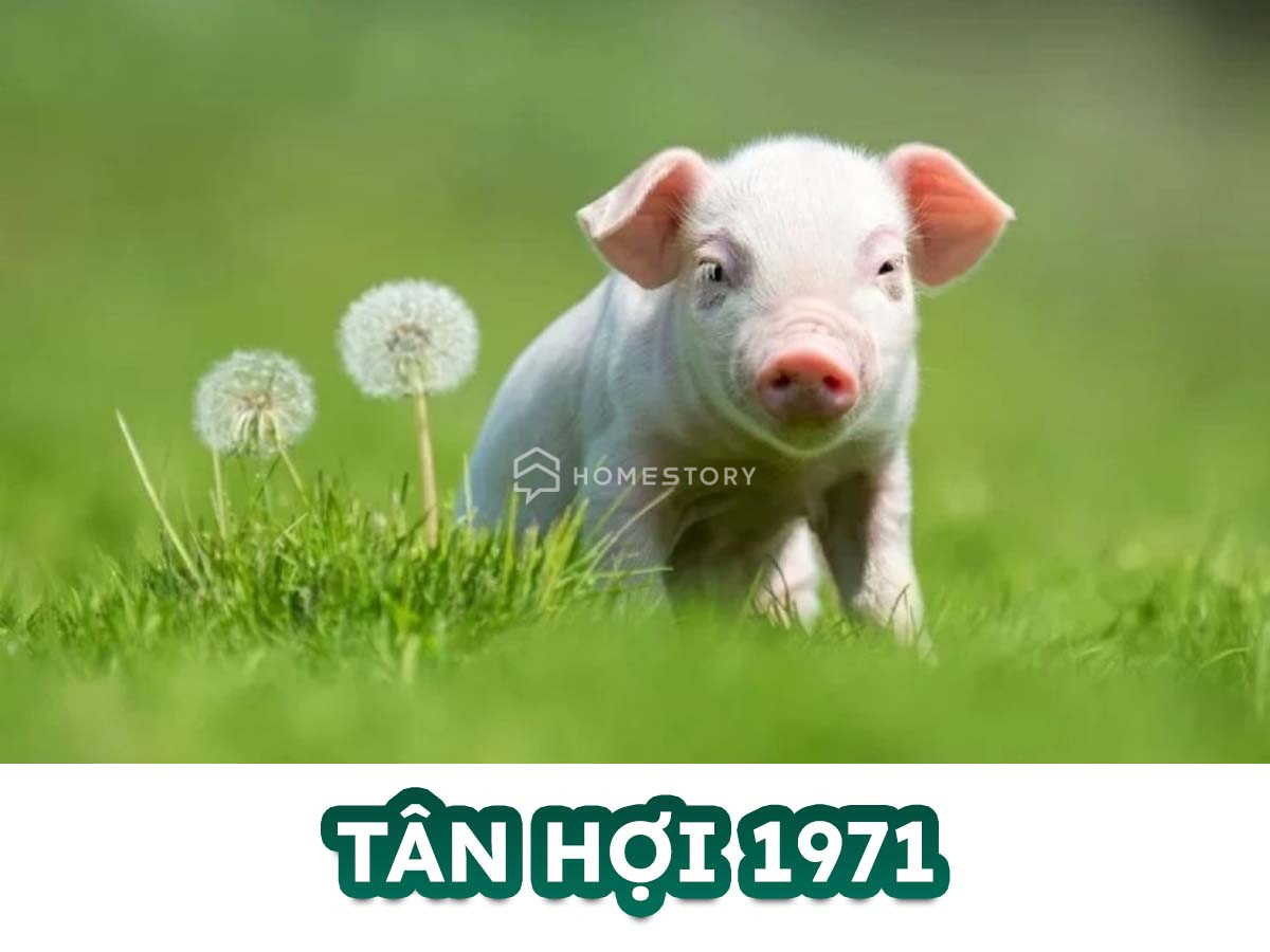 Hướng Nhà Vệ Sinh Cho Tuổi Tân Hợi 1971 Hợp Phong Thủy Nhất Năm 16 Tìm Hiểu Về Tuổi Tân Hợi 1971 Và Hướng Nhà Vệ Sinh Hợp Tuổi Tân Hợi